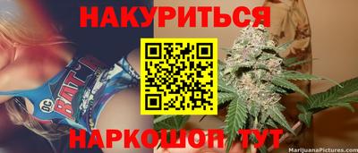 индика Анжеро-Судженск