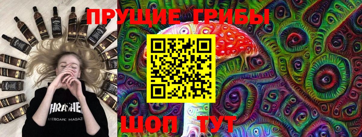 Кохма  Галлюциногенные грибы мицелий  Вход с VPN 